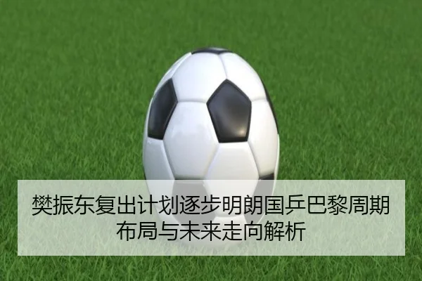 樊振东复出计划逐步明朗国乒巴黎周期布局与未来走向解析